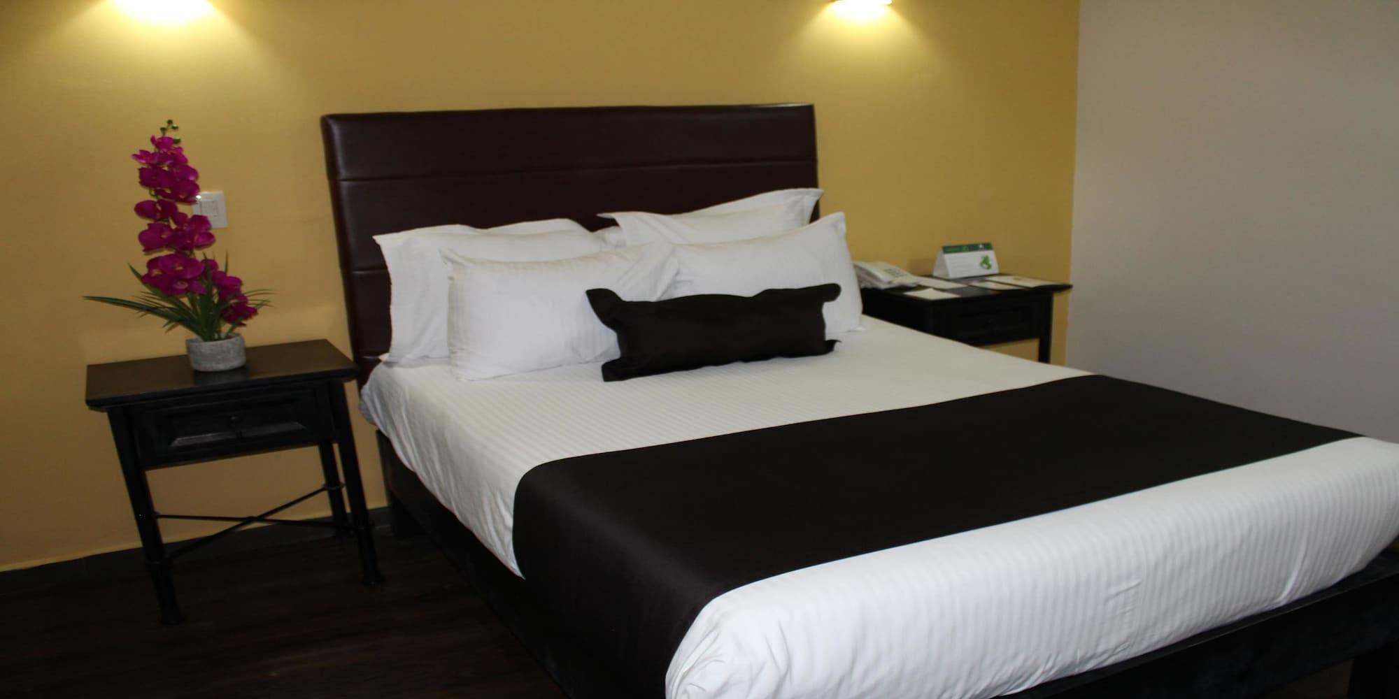 Hotel Plaza Poblana Heroica Puebla de Zaragoza Exterior foto